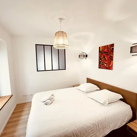 La Brimbelle - Hypercentre Rue Pietonne Apartment