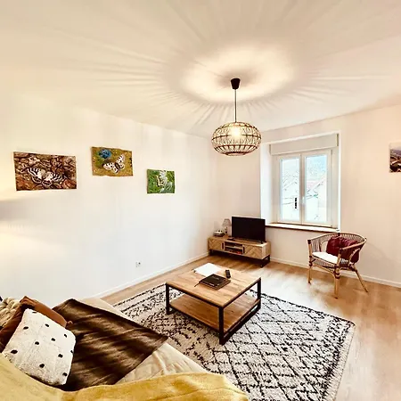 La Brimbelle - Hypercentre Rue Pietonne Apartment Gerardmer