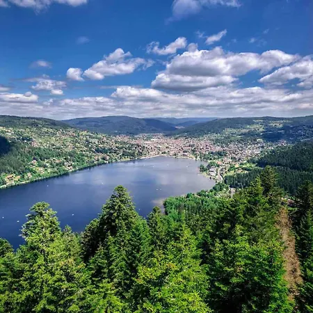 La Brimbelle - Hypercentre Rue Pietonne Gerardmer