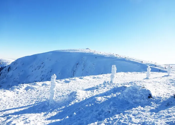 La Brimbelle - Hypercentre Rue Pietonne Apartmán *